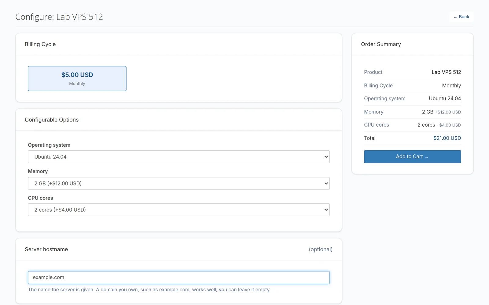 Configuring a VPS order: billing cycle, options and the order summary
